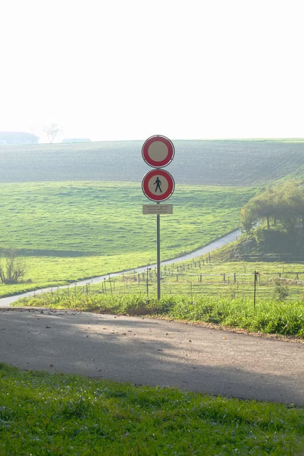 Vyšetrenia vodičov kvôli priestupkom