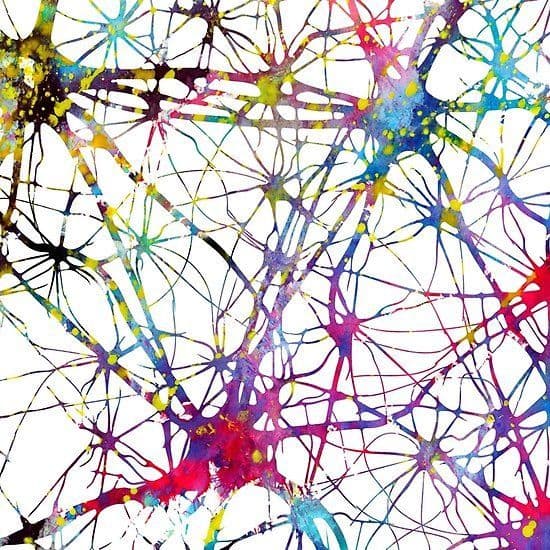 Neurofeedback