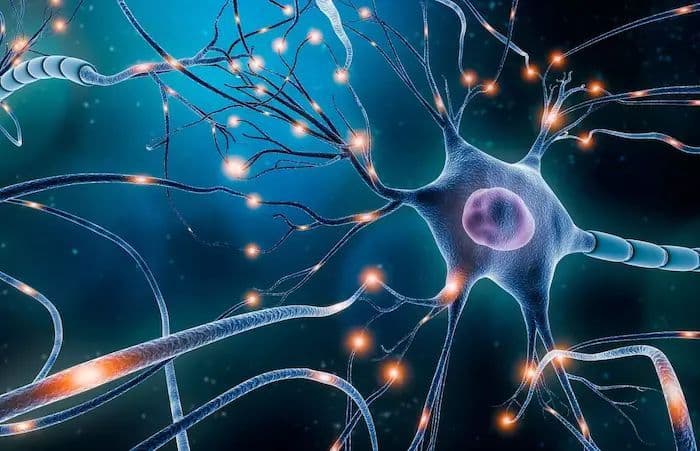 Neurofeedback